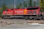 CP 8110